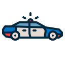 Police car