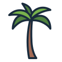 kokusnuss-palme