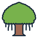 albero di banyan