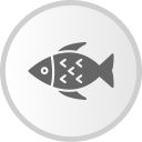 poisson