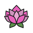 flor de lotus