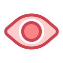 Eye