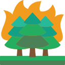 pożar lasu