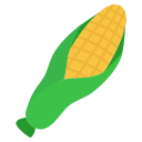 Épi de maïs