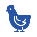 pollo