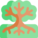 생명의 나무
