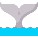 Whale