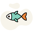 魚