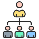 estructura de organización