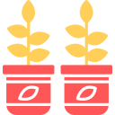 Plants