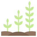 wachsende pflanze