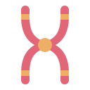 cromossoma