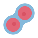 podział komórek