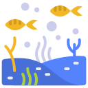 Sea life