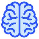 인간의 뇌