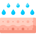 hydratation de la peau