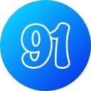 91