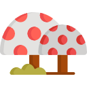 champignon