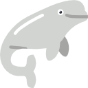 Beluga