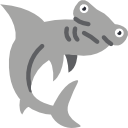 Hammerhead fish