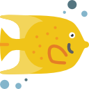 Рыба-ангел