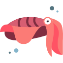 tintenfisch