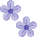 kwiaty