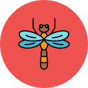 libélula
