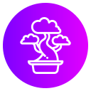 Bonsai