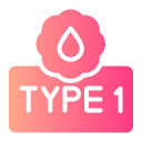 typ 1