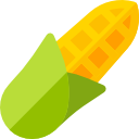 Corn