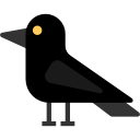 cuervo