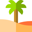 Palm tree