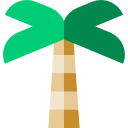 Palm tree