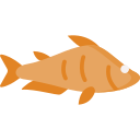 Pangasius