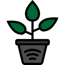 pianta