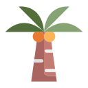 palma kokosowa