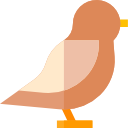 oiseau