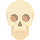 le crâne