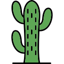 cactussen