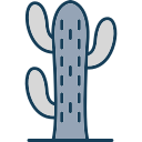 cactussen