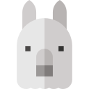 alpaca