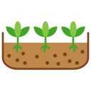 성장하는 식물