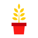 Растущее растение