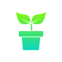 Растущее растение
