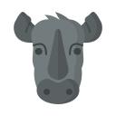 rhinocéros