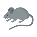 ratón