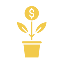 Money plant