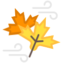 Maple leaf