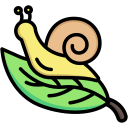 escargot